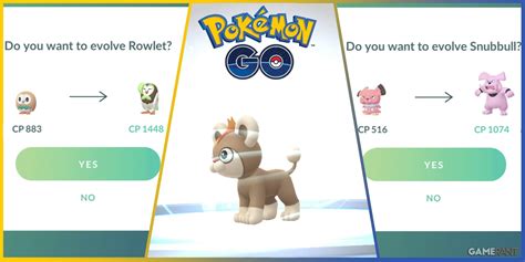 when should you evolve in pokemon go