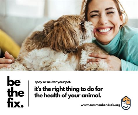 when should you fix a dog