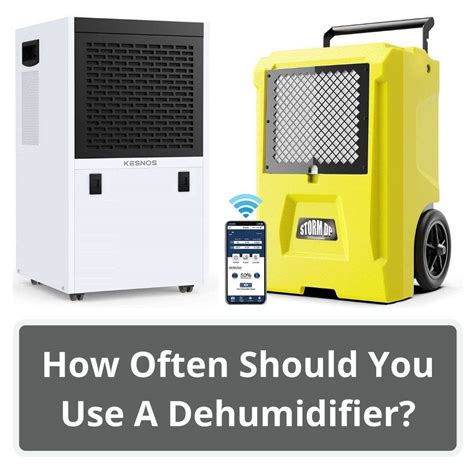 when should you use a dehumidifier