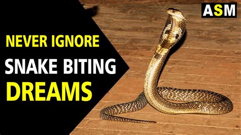 when snake bites in dream