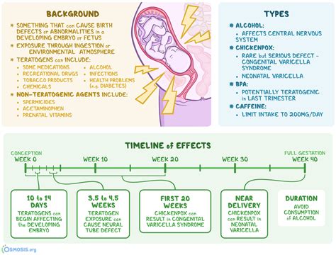 When Teratogen Causes Masculinization Of The Female Fetus