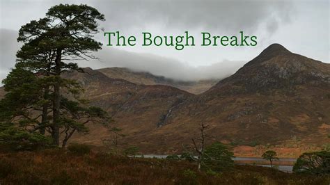 When The Bough Breaks