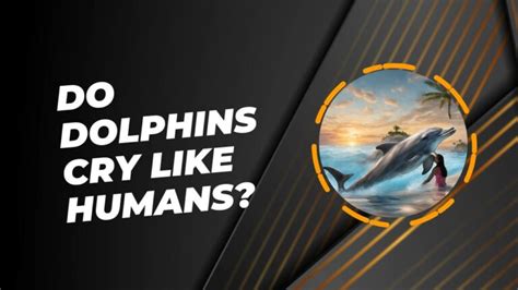 When The Dolphins Cry Escaping Cuba