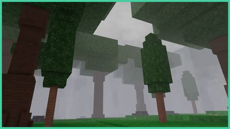 When The Forest Is No Longer Dim