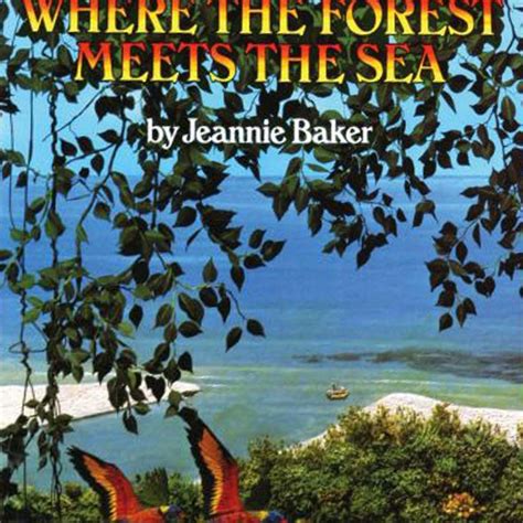 When The Forest Meets The Stars