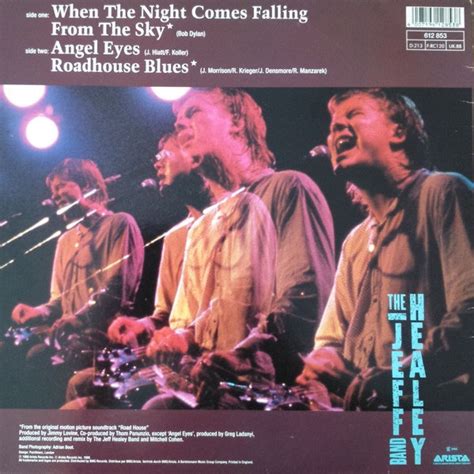 When The Night Comes Falling Book