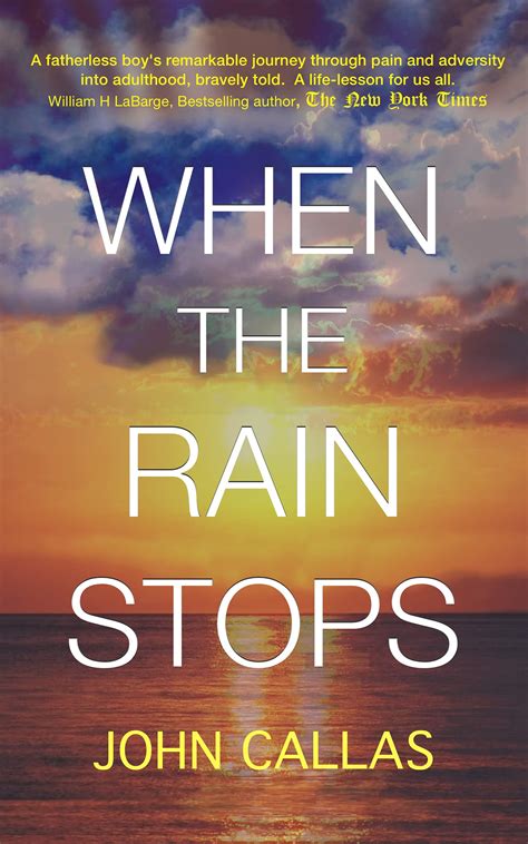 When The Rain Stops Book