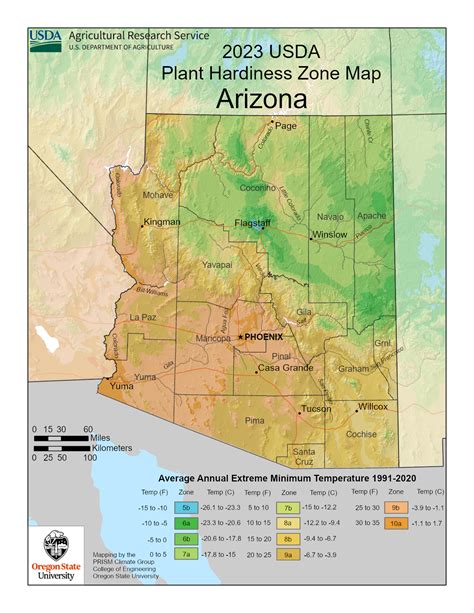 when to plant grass in az
