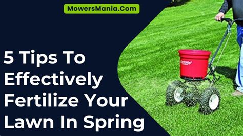 when to start fertilizing grass in spring