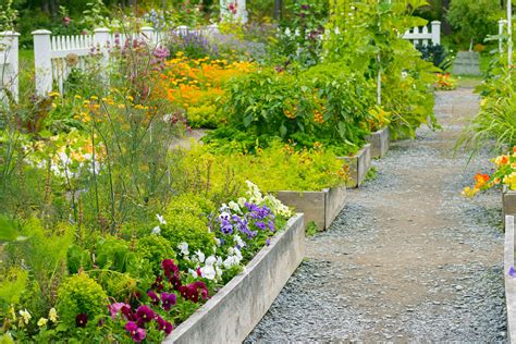 when to start my garden