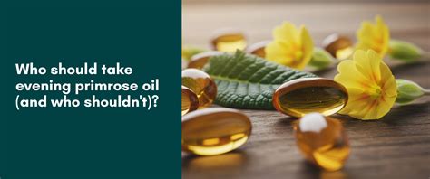 When To Take Evening Primrose Oil Morning Or Night