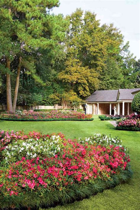 when to trim azaleas in ny