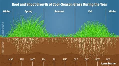 when to water grass in summer