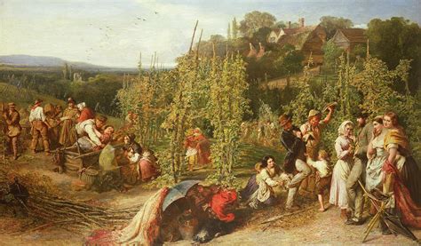 when were hops first used in beer