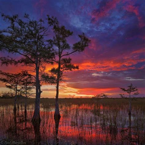 where to take night landscape photos in everglades?