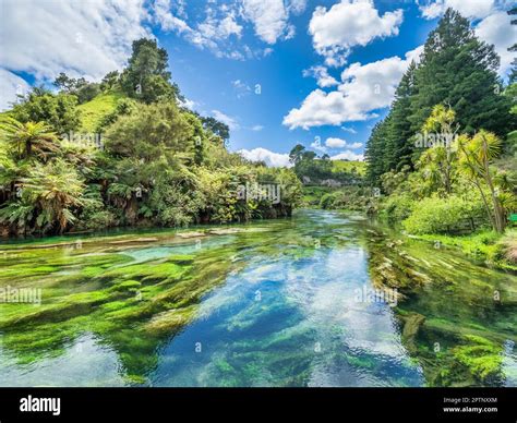 Where A Spring Or River Begins