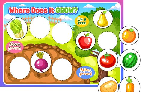 Where Do Fruits And Vegetables Grow Matching Worksheet Food That Grows On Trees Preschool - Food That Grows On Trees Preschool