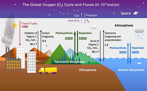 Where Does Our Oxygen Come From