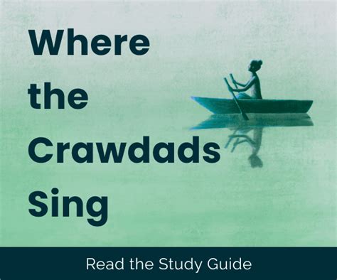 Where The Crawdads Sing Sparknotes