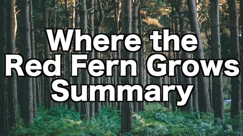 Where The Fern Grows Summary