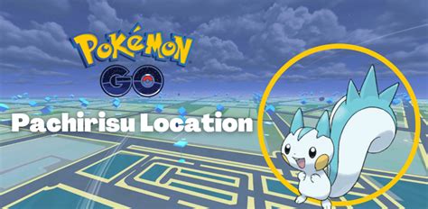 where to find pachirisu in pokemon go