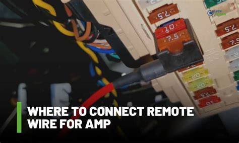 where to hook up remote wire for amp