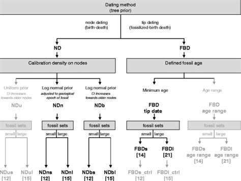 which dating method would be most appropriate