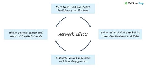 Which Describes The Network Effect