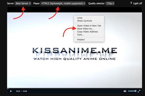 which is the best kissanime video downloader software