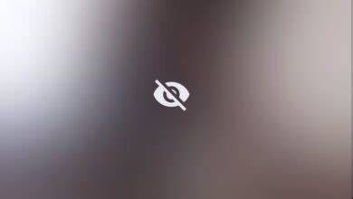 whipitdev nude leak