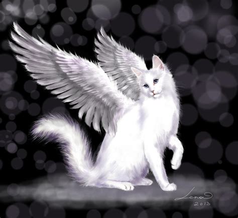 white cat angel