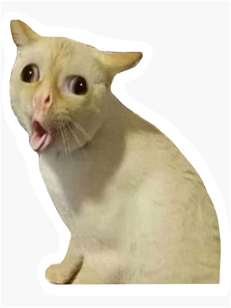 Twitch Emote / Cute Meme Cat Emotes Pack 3 hehe Alien -  Israel