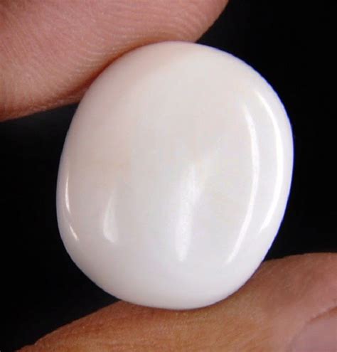 White Coral Stone