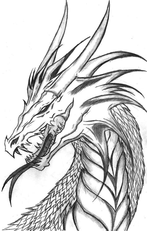 white dragon drawing