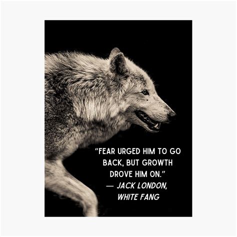 White Fang Quotes