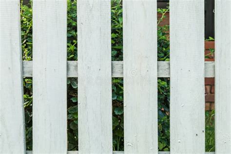 White Fence Background