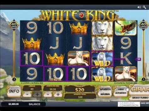 white king casino game cykg