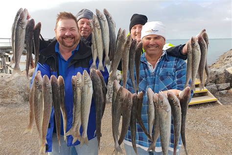 whiting fishing charters