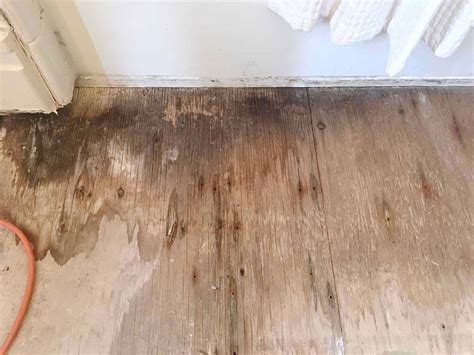 Who Do You Call To Replace A Rotted Subfloor In Your Bathroom?