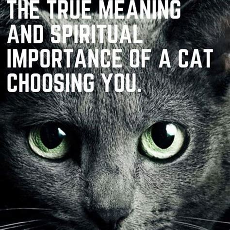 Who Does The Cat Represent In Animal Farm