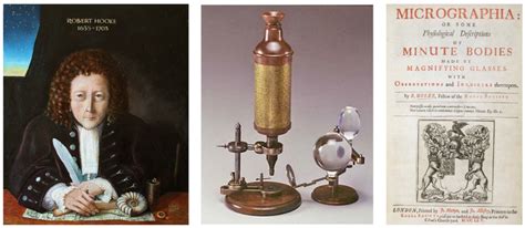 who invented the microscope robert hooke biography