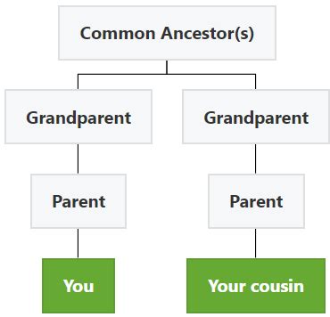 who is considered a second cousin - Erinbethea.com