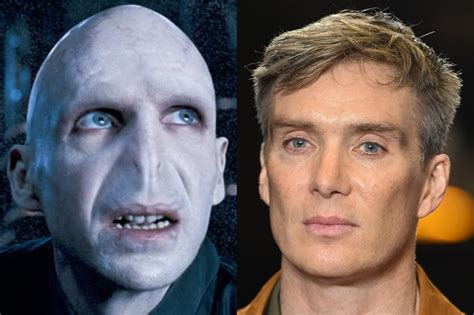 Who Plays Voldemort
