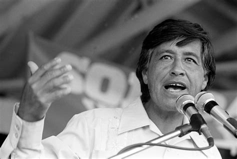 Read Online Who Was Cesar Chavez 