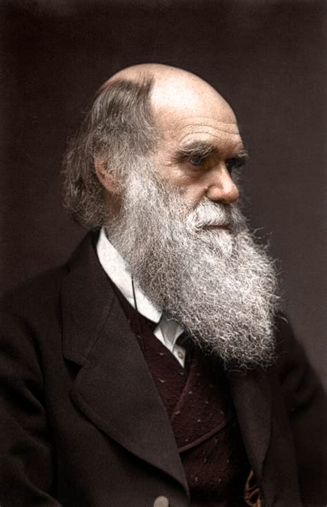 Read Who Was Charles Darwin 