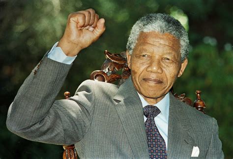 Read Online Who Was Nelson Mandela 