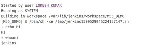 whoami command is showing different user name in jenkins cli …