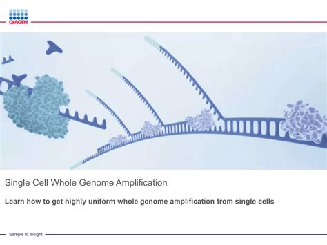 Whole Genome Amplification