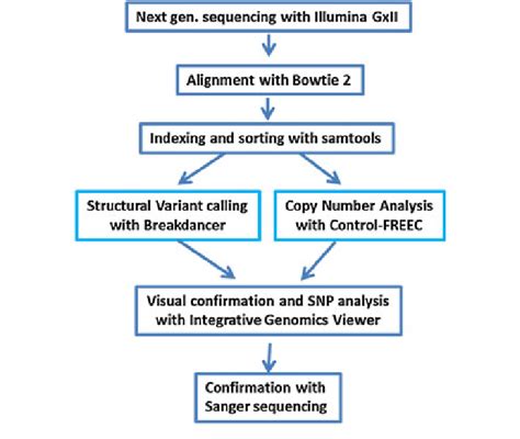 Whole Genome Sequencing Data Analysis
