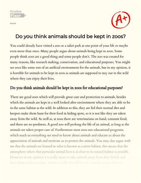Why animals should not be kept in zoos essay: There Should Not Be Zoos Essay  - Words | Internet Public Library